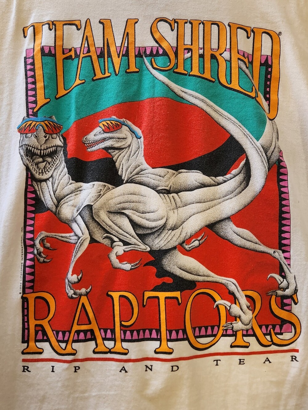 1993 Toronto Raptors Team Shred Single Stitch VTG Oneita Power NBA T-Shirt
